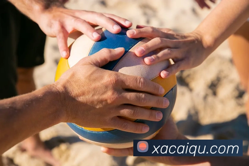 世界杯开户平台APP 封面图